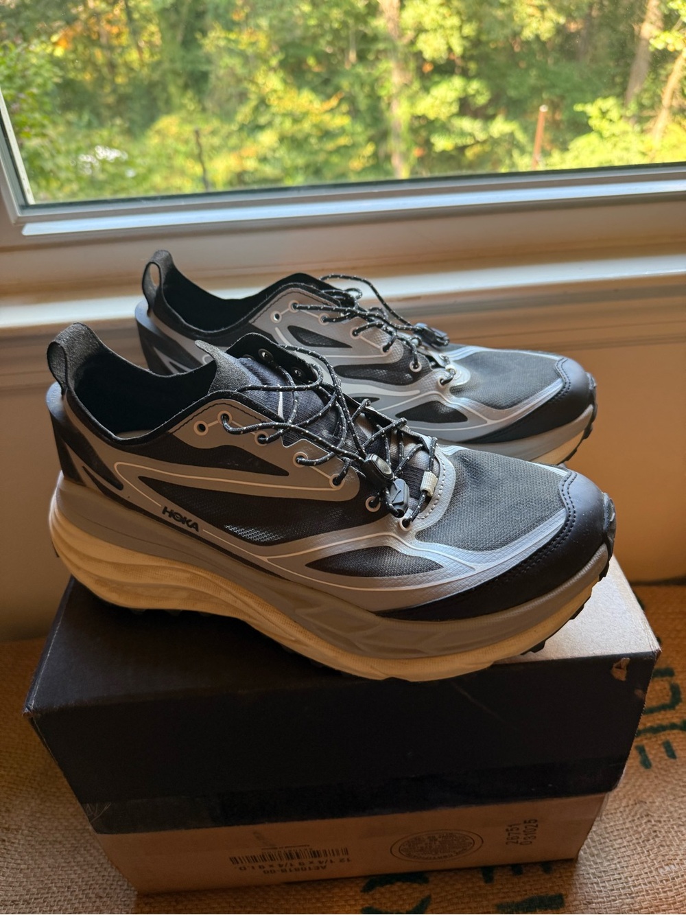 Hoka Men’s Hiking Shoes